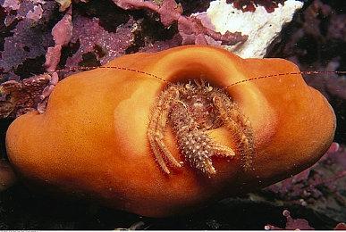 《百英雄传》TGS 2022新宣传片 2023年正式发售